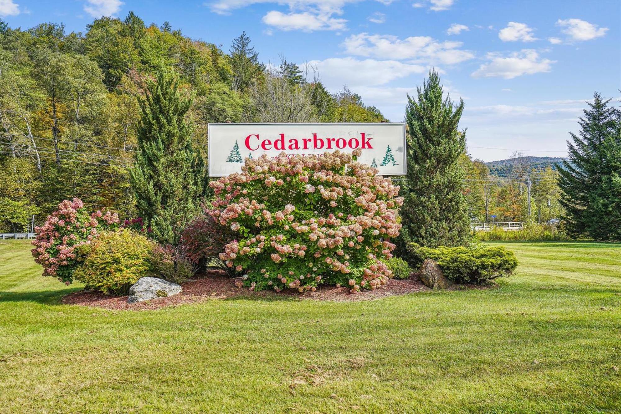 Cedarbrook Deluxe Two Bedroom Suite With Outdoor Heated Pool 21202 キリングトン エクステリア 写真
